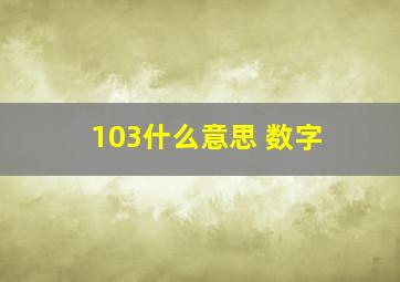 103什么意思 数字